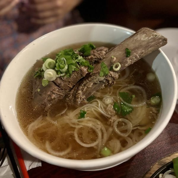 A large bowl of Sizzling Kitchen's pho with a beef short rib, noodles, and green onions.