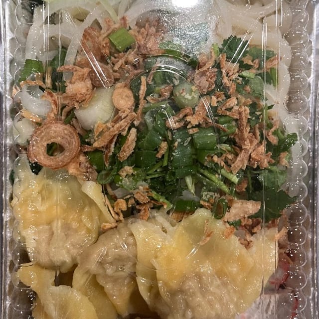 Udon Wonton Noodle Soup.